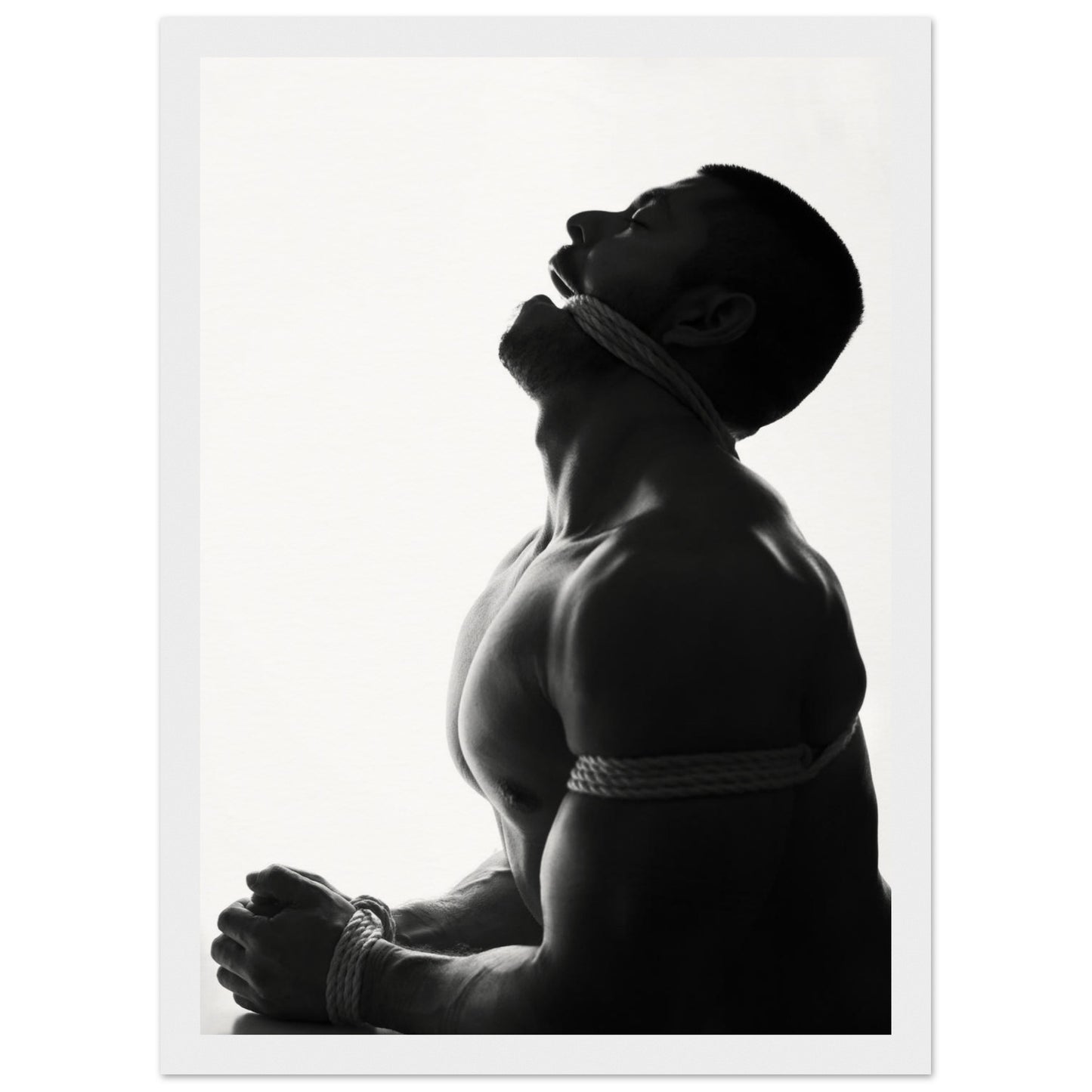 07c4c7b8-e187-4192-82aa-897f1a0bca2c