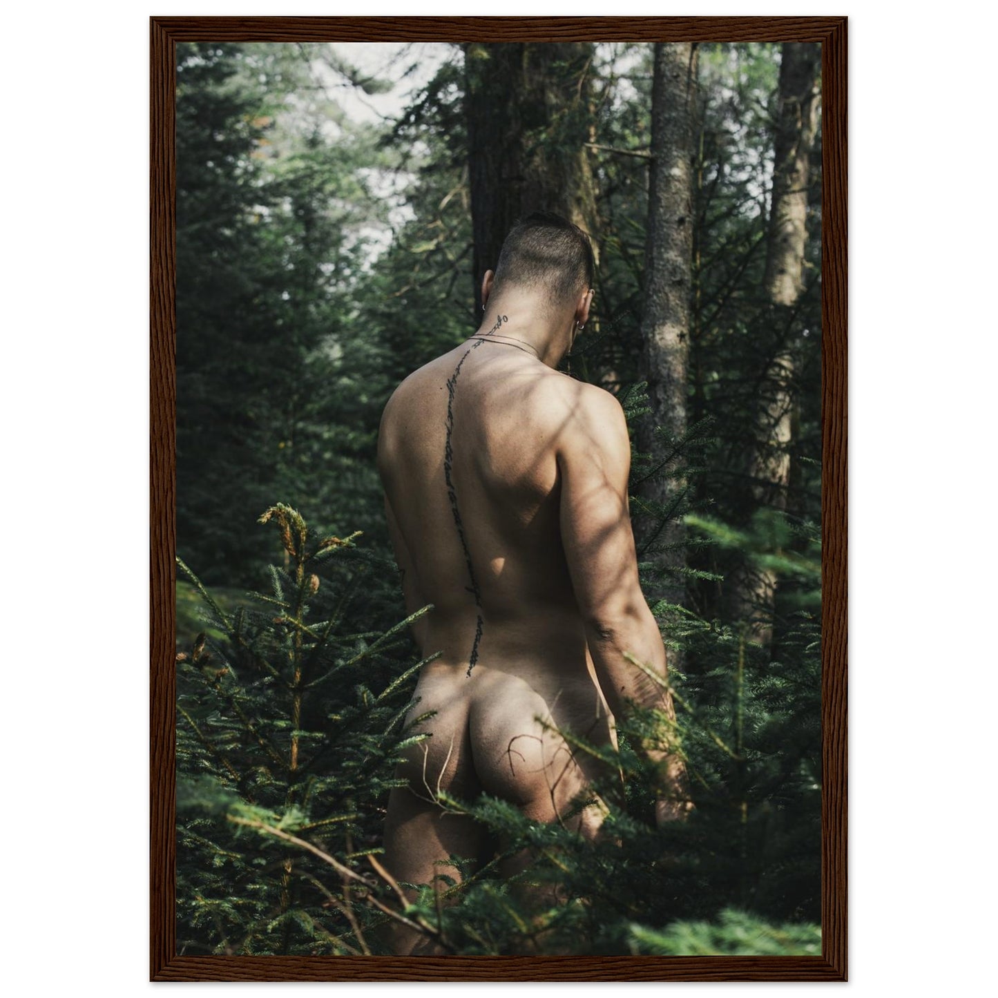 1695c484-84e3-47a3-9c45-ca6deffb20b4