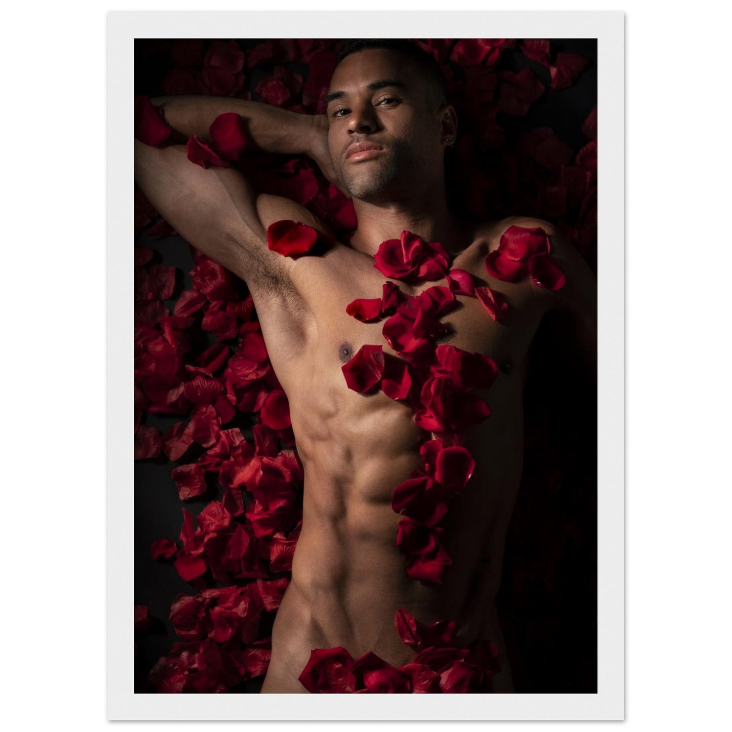 20317915-3dd7-4fed-87a8-257e66402799