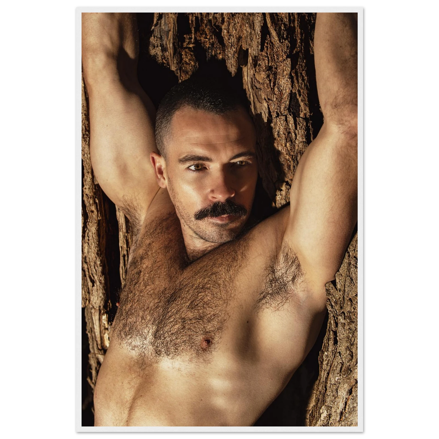 2c5695af-60e7-42db-a732-235c435f37cf