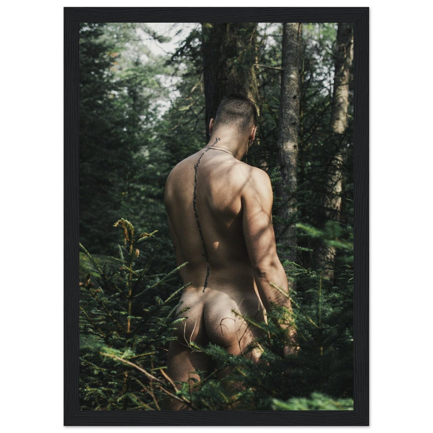 3fcba02c-6bca-4f14-a48a-a1dfd2a2b240