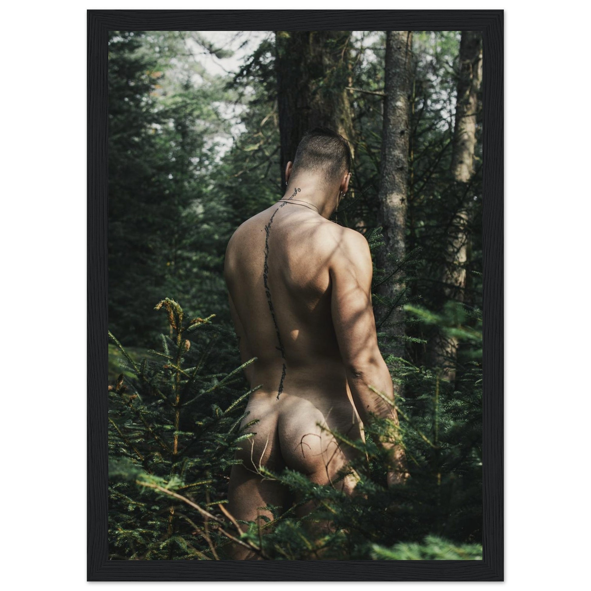 3fcba02c-6bca-4f14-a48a-a1dfd2a2b240