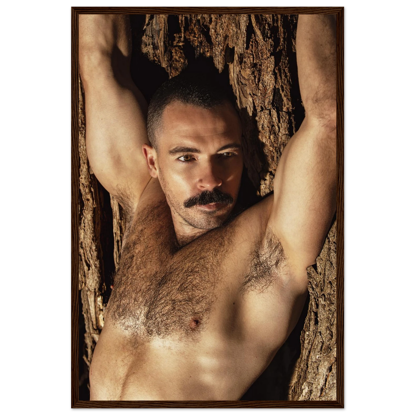 4217a647-e35d-43ab-9ef8-5a684e427fd6