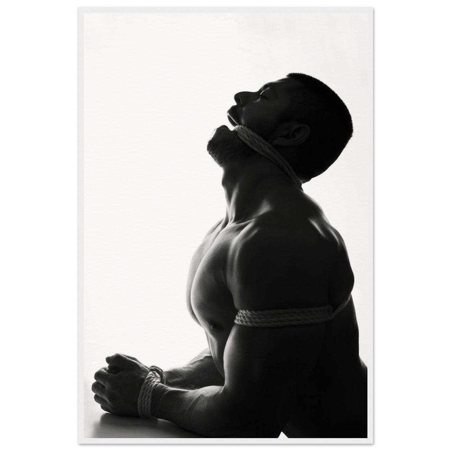 42367e85-63f1-429a-956d-2833f6ffe472