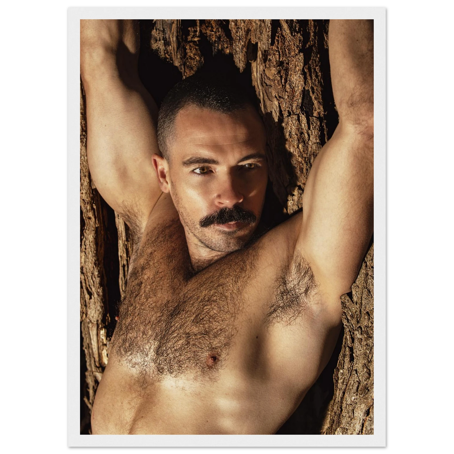 44794b7d-a30c-4559-bb27-30e79c2e02fd