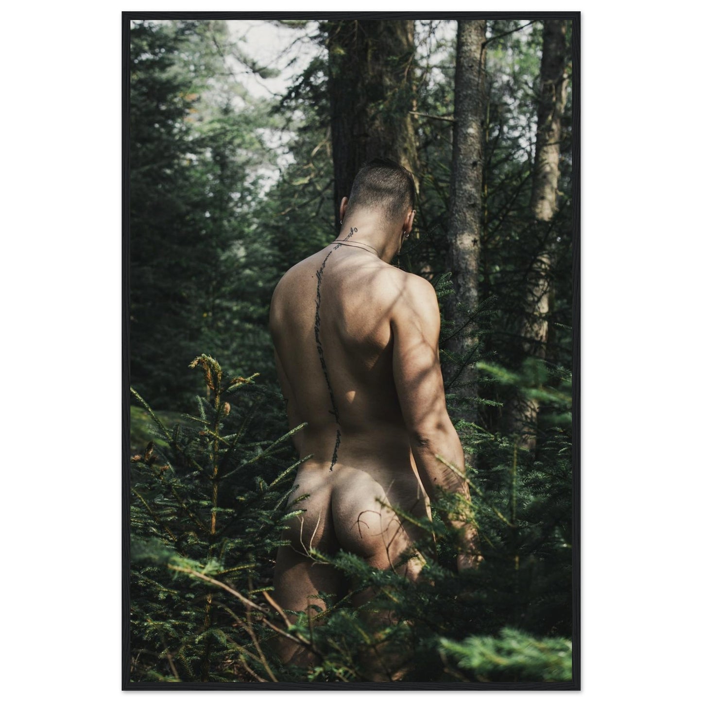 93844035-2d85-4a80-86fa-1e619d9b5a1d