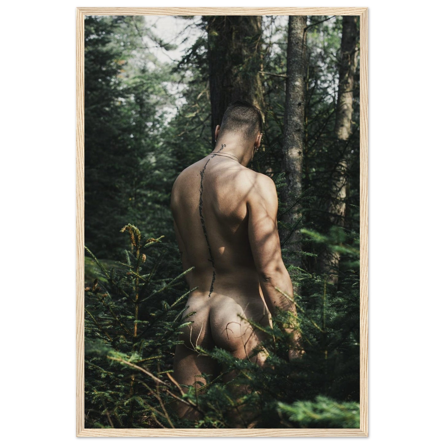 aae0ae46-57b9-48ec-9cab-f64ec34c56d4