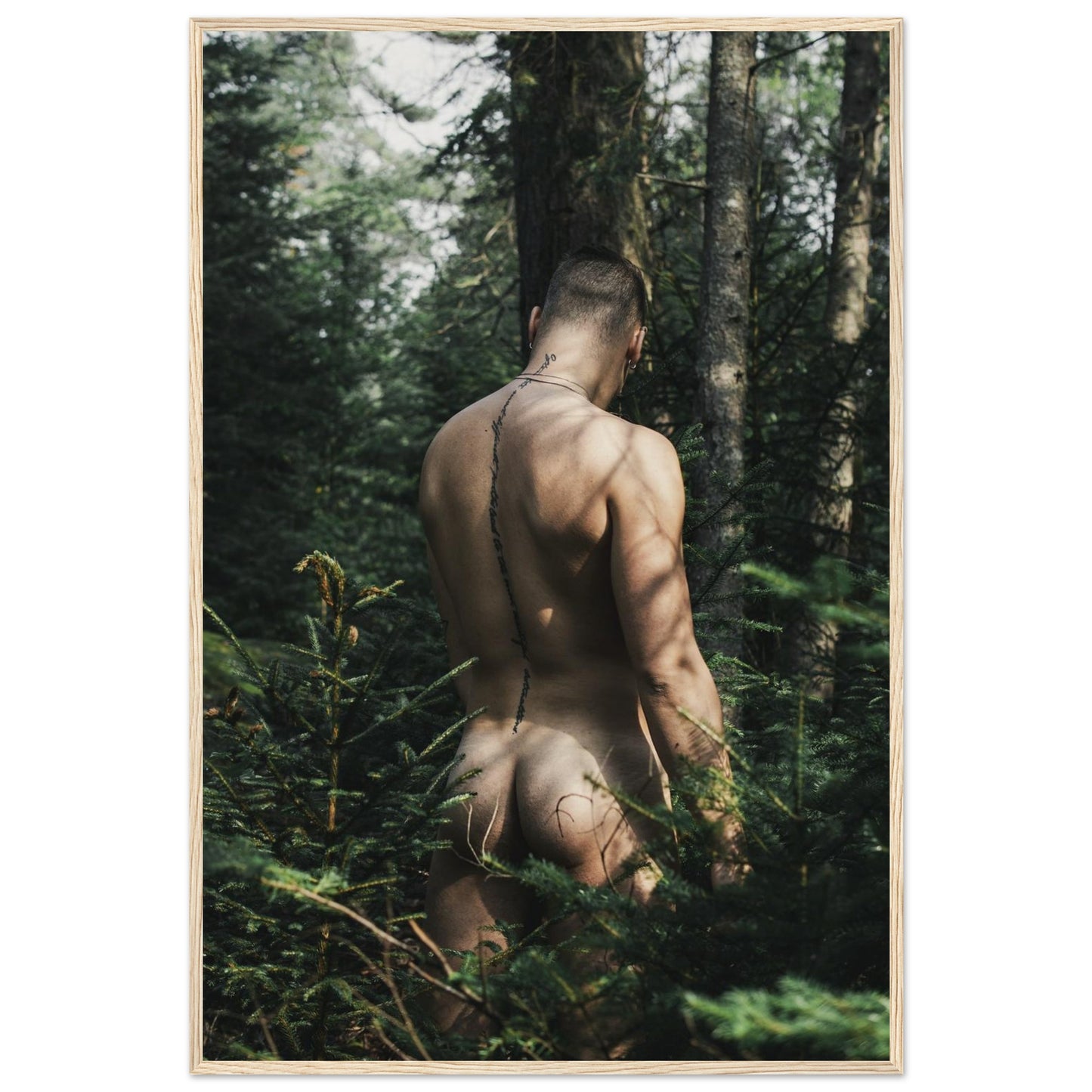 b65d5c19-3f3e-4db5-b7b2-5e45e6ffbafd