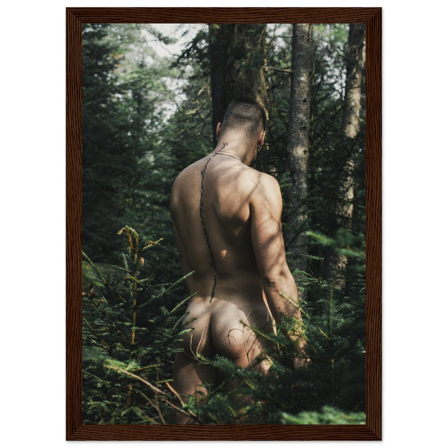 cd640167-c4c3-49f8-9aed-6bc248d2b358