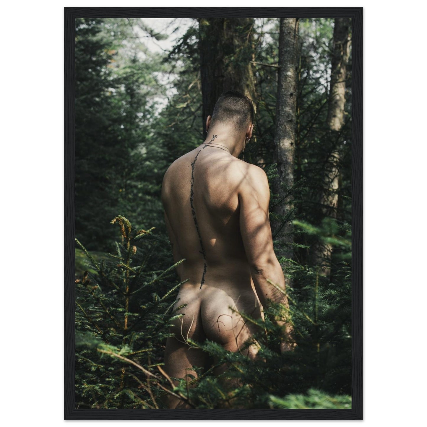 e0eb86e1-58bb-4168-bb00-de70e88001ce