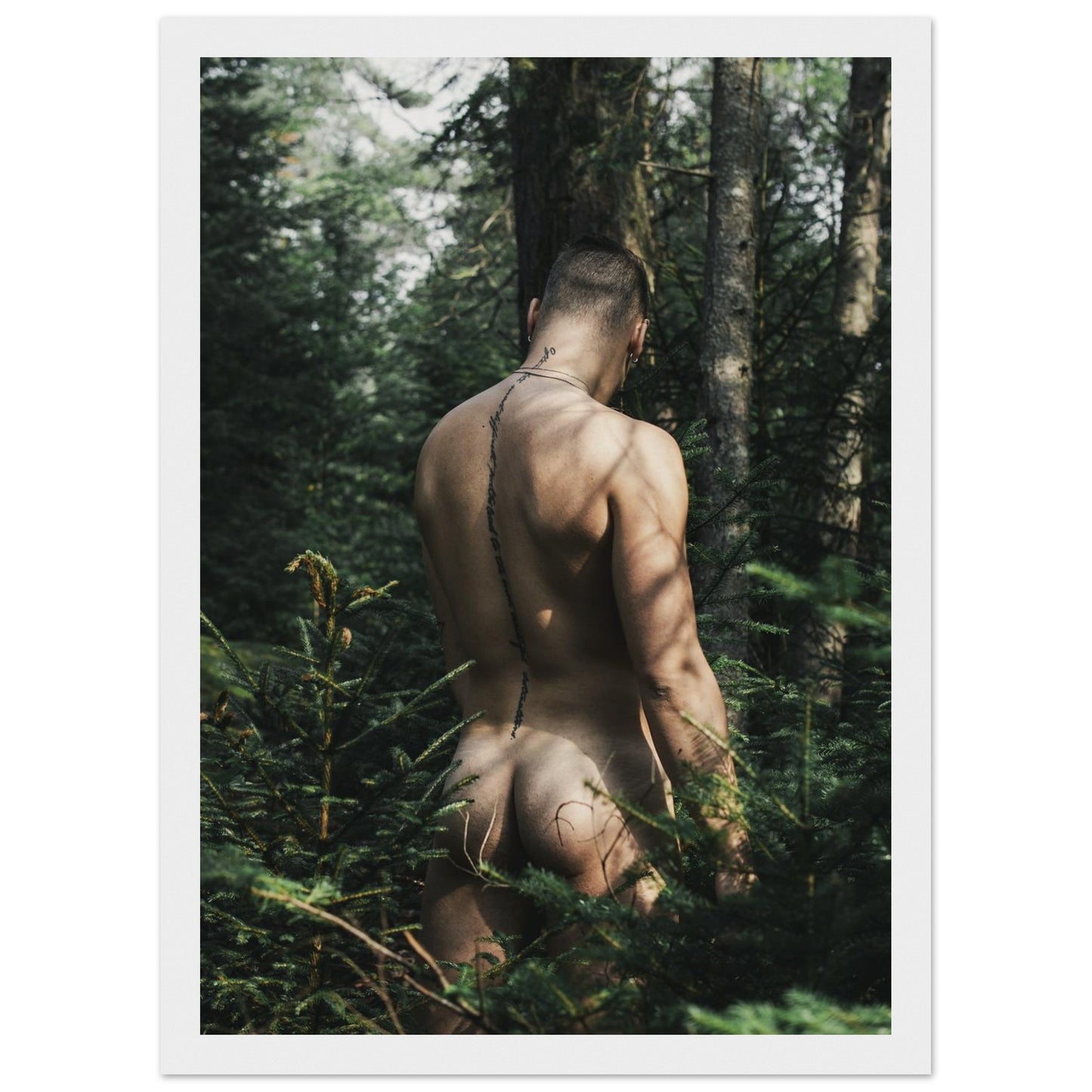 e6b887de-2a44-43a9-bd57-a11d974488d1