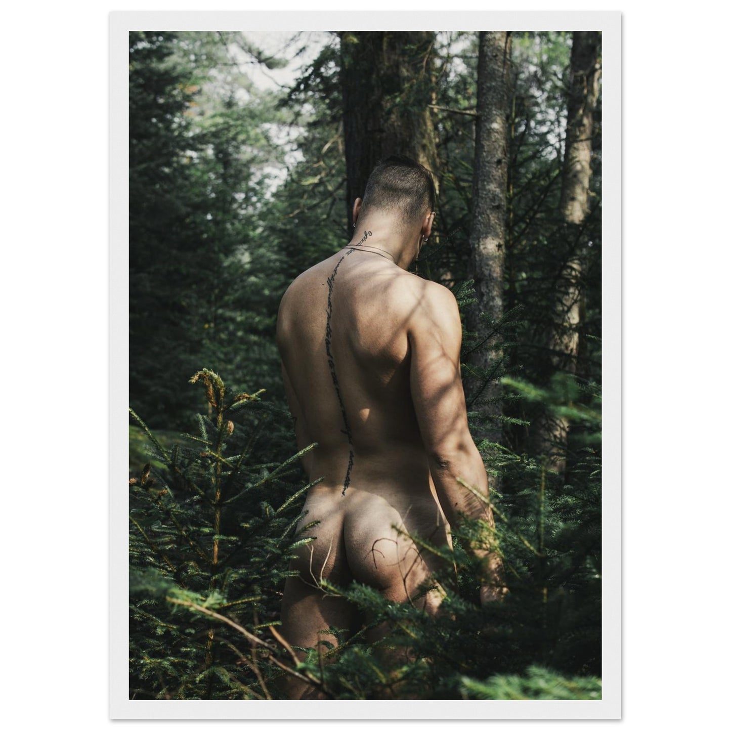 e81af8e3-105c-479e-961b-9b6da1a585f5